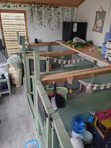 Indoor Rabbit Boarding West Lothian