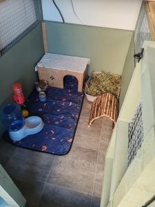 Indoor Rabbit Boarding West Lothian