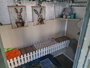Bunny Mansion - Rabbit Boarding Central Scotland