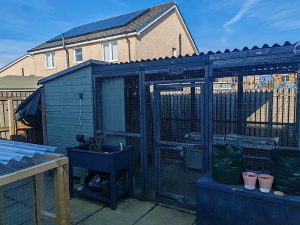 Bunny Mansion - Rabbit Boarding Central Scotland