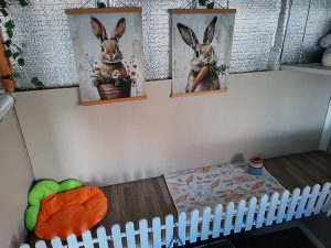 Bunny Mansion - Rabbit Boarding Central Scotland