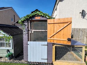 Carrot Cottage - Rabbit Boarding Lothian