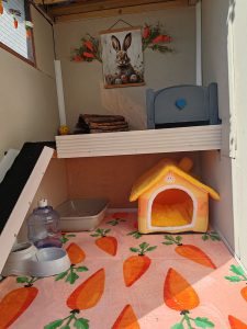 Carrot Cottage - Rabbit Boarding Lothian