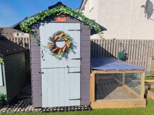 Carrot Cottage - Rabbit Boarding Lothian