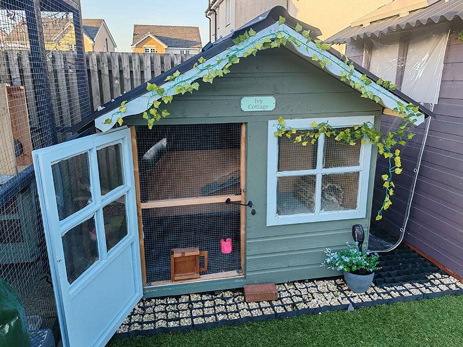 Ivy Cottage - Rabbit Boarding West Lothian - Luxury - No Hutches