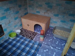 Willow Cottage - Guinea Pig Boarding Lothian